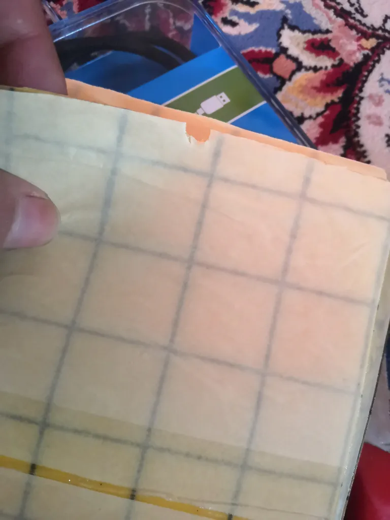 چسب حشره کش کد 200 بسته 10 عددی