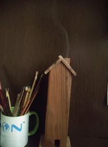 تجریه خرید عود کندر الست کد A-110M بسته 15 عددی