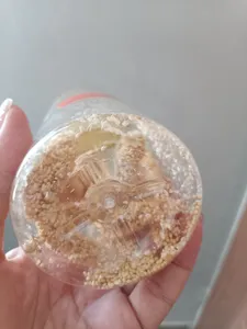 تجریه خرید غذای پرنده مدل ارزن خوشه ای کد 20104 بسته 5 عددی