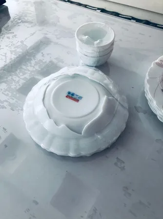 سرویس غذاخوری 25 پارچه 6 نفر آیروپال مدل  اودیسه