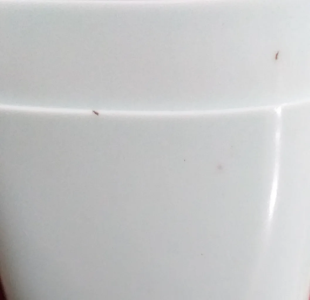 جا مسواکی باران مدل Safe