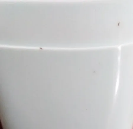 جا مسواکی باران مدل Safe