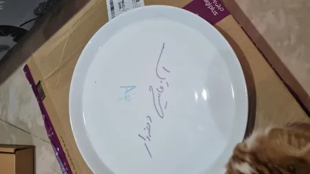 بشقاب غذاخوری زی مدل فرم اس کد27 بسته 6 عددی درجه عالی