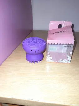 برس پاک‌سازی مدل B 0101