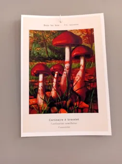 پوستر مدل مجموعه 8 عددی پوستر طرح وینتیج کد 03