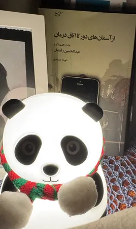 چراغ خواب کودک طرح پاندا مدل LJC-142