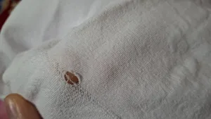 تجریه خرید جوراب شلواری زنانه مدل 2001827