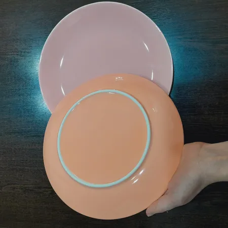 بشقاب غذاخوری مدل دیانا NB24