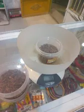 تجریه خرید غذای تشویقی عروس هلندی فود فارمز لند مدل میل ورم وزن 50 گرم بسته 3 عددی