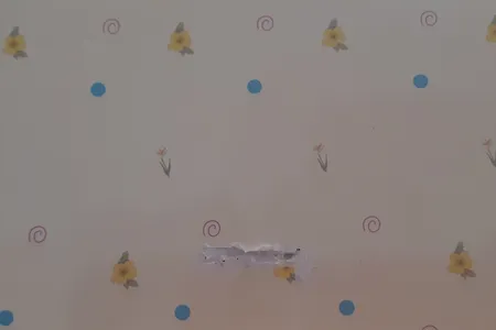 آلبوم خاطرات کودک مدل راهنمای رشد