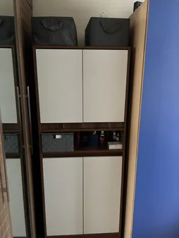 جاکفشی مدل رویان