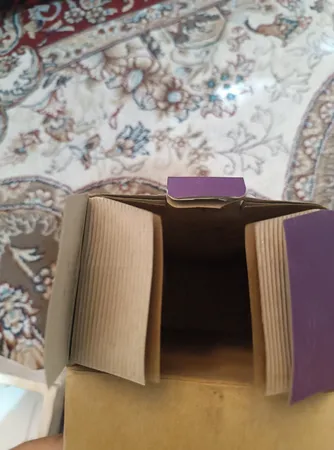 فلاش دوربین دی بی کی مدل DF-800C