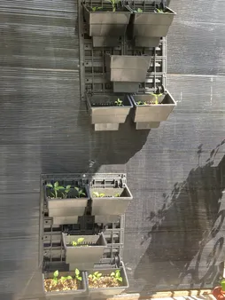 گلدان دیواری طرح دیوار سبز مدل Lotus بسته 6 عددی