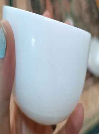 سرویس غذاخوری 26 پارچه گلدن اوپال مدل زلی