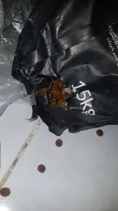 تجریه خرید غذای خشک گربه رفلکس پلاس مدل Urinary وزن 15 کیلوگرم