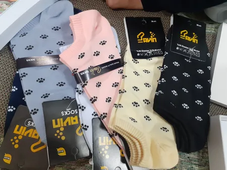 جوراب زنانه پاوین مدل پنجه گربه 05 مجموعه 6 عددی