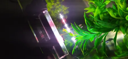 لامپ ال ای دی آکواریوم مدل B-10c