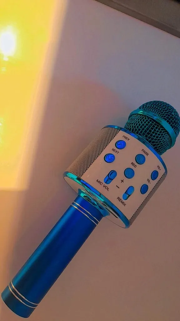 میکروفون اسپیکر مدل WS-858