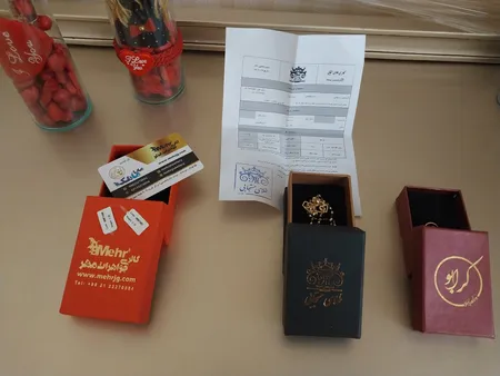 آویز گردنبند طلا 18 عیار زنانه مایا ماهک مدل MM1481 طرح دو قلب