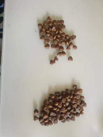 غذا خشک گربه بالغ هپی کت مدل میکس وزن 10000 گرم