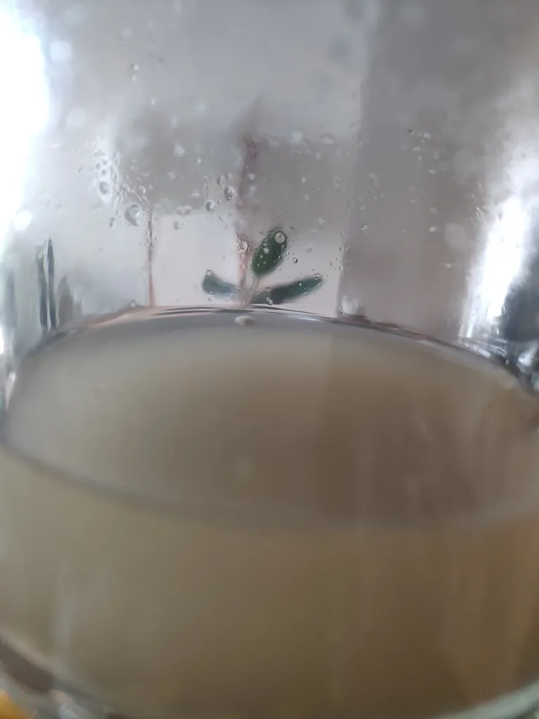 پودر قهوه سبز خام شاران - 250 گرم