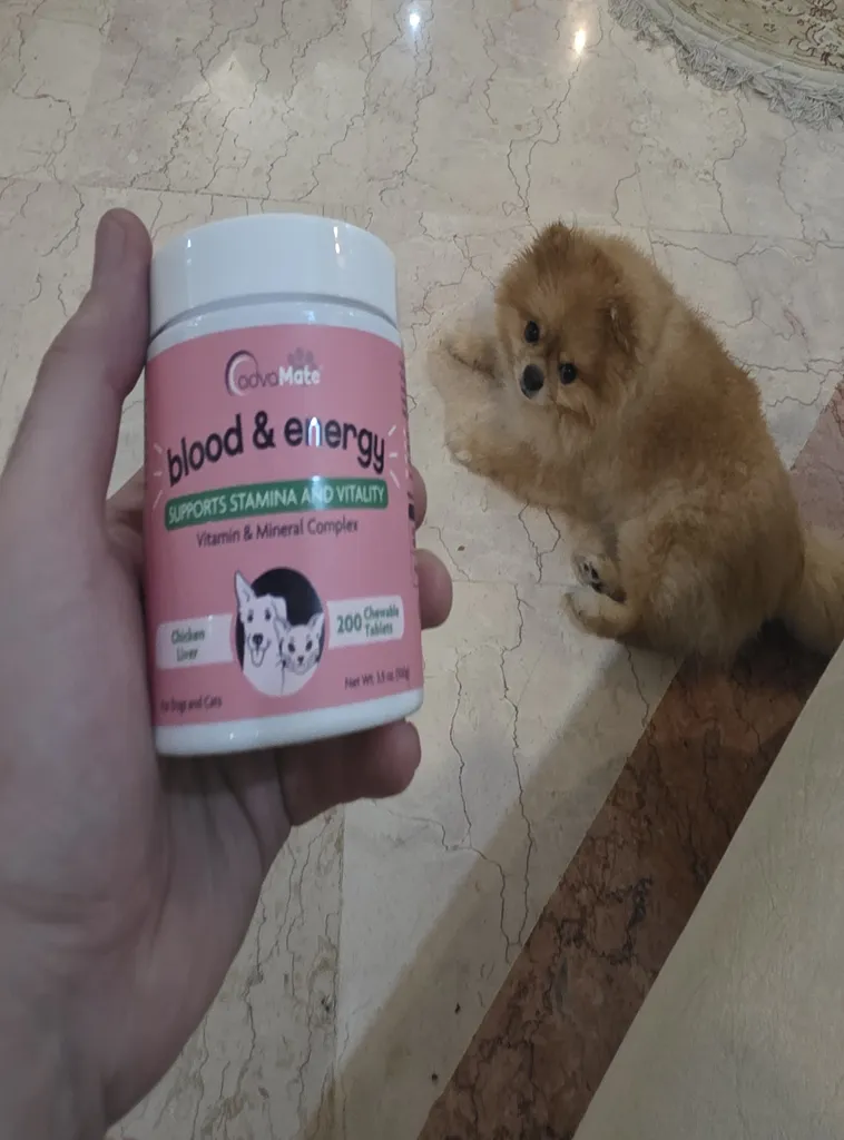 قرص مکمل خون ساز و انرژی زا سگ و گربه ادواکر مدل Blood Energy بسته 200 عددی