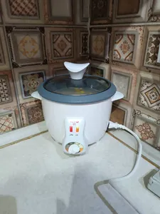 تجریه خرید پلوپز تایمردارسه نفره مه پویا مدل TM-300