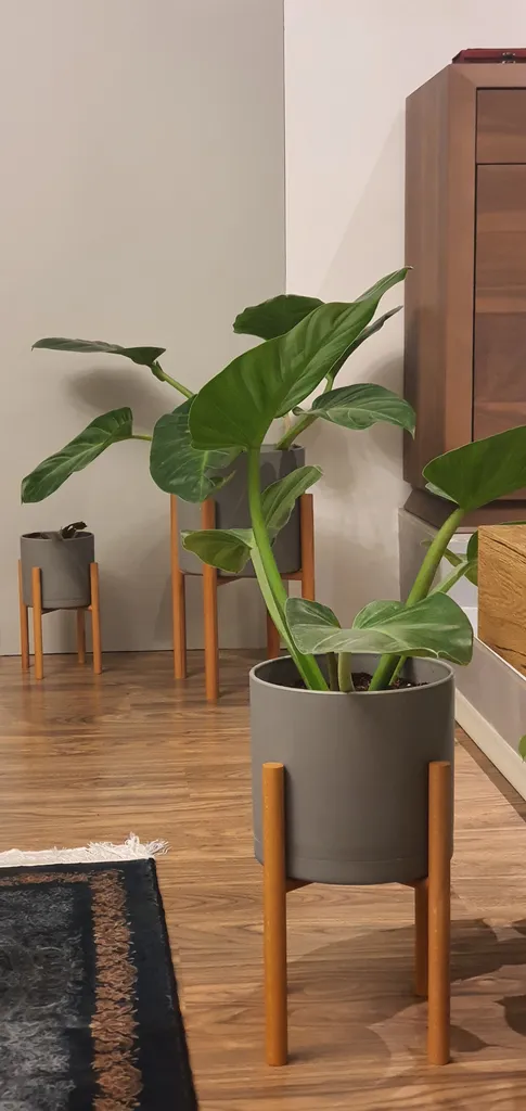 گلدان مدل 3LL مجموعه 3 عددی