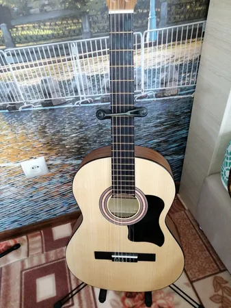 گلپیدور گیتار مدل B050