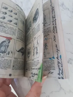 اسباب بازی زینتی مستر گرین مدل کتاب های مدرسه هری پاتر طرح معجون سازی شاهزاده دورگه