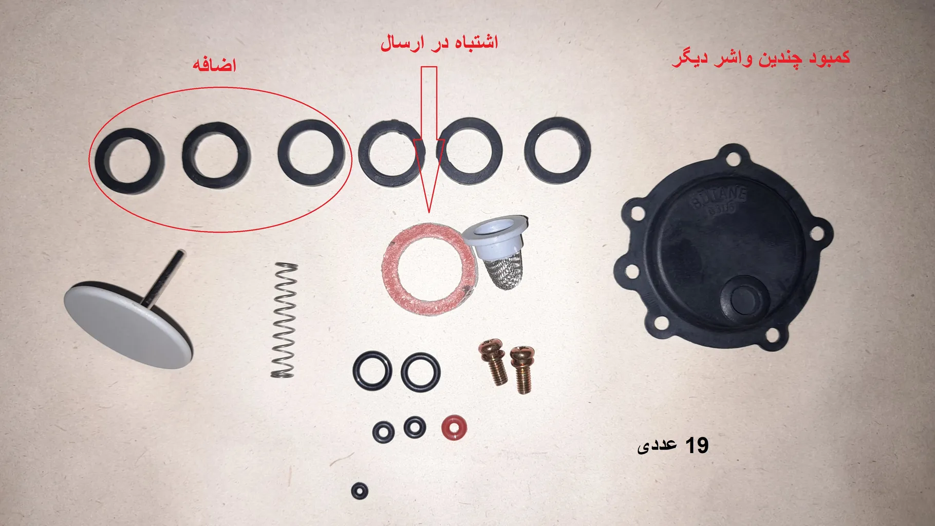 قطعات رگولاتور آبگرمکن بوتان مدل B3115 مجوعه 21عددی