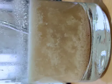 شیر بادام خرما سالمینو - 100 گرم بسته 10 عددی