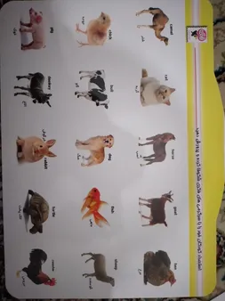 بازی آموزشی هوش چین دو تکه