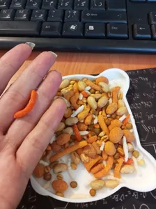 تجریه خرید آجیل شور تهران قصیده - 500 گرم