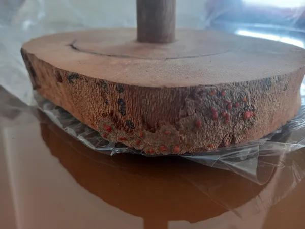 عکس ارسالی خریدار
