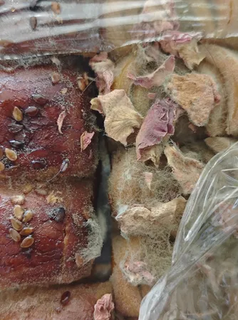 باقلوا معجون عسلی مغزدار - 650 گرم