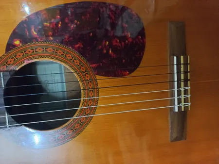 گلپیدور گیتار مدل R11