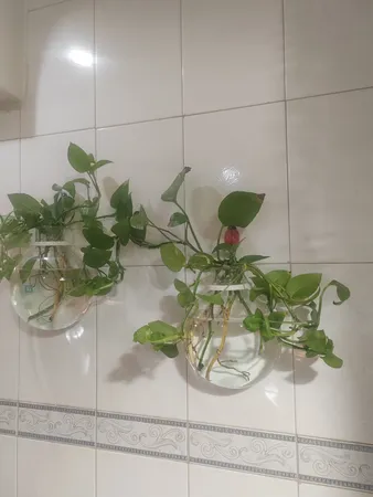 گلدان دکوری مدل دیواری شیشه ای مجموعه 2 عددی