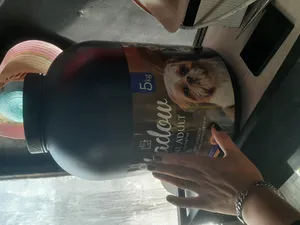 تجریه خرید غذا خشک سگ شدو مدل mini adult وزن 5 کیلوگرم