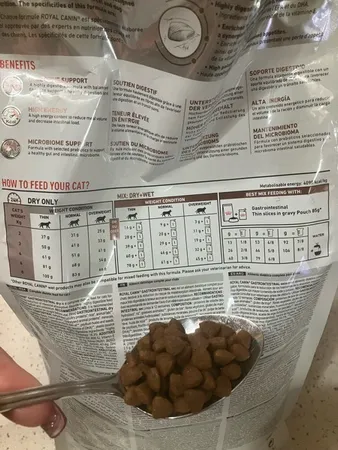 غذا خشک رویال کنین گربه مدل گسترو وزن 2 کیلوگرم