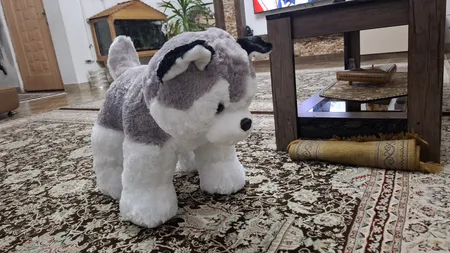 عروسک طرح سگ هاسکی مدل 001 ارتفاع 60 سانتی‌متر