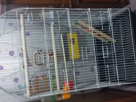 قفس عروس هلندی مدل 1034