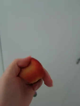 براش رژگونه مدل Gorgeous Fashion