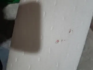 تجریه خرید بالش طبی زیکلاس مد مدل ZYK-L