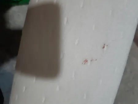 بالش طبی زیکلاس مد مدل ZYK-L