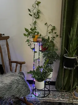 استند گلدان مدل پیچک