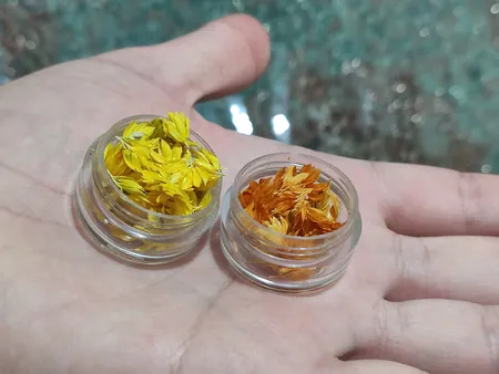 گل خشک لایت چلیپا مدل رزین اپوکسی وزن 5 گرم