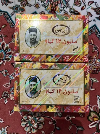 صابون 12 گیاه موی سر ان جی اورجینال مدل NG Herb وزن 100 گرم