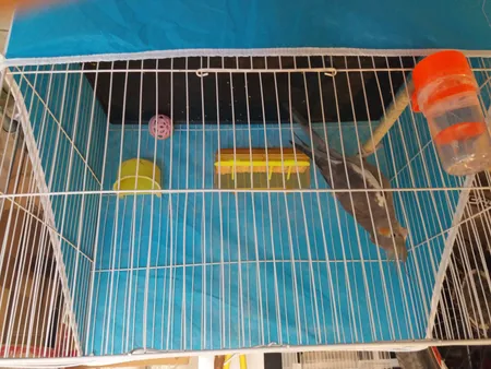 کاور قفس حیوانات کد 1030