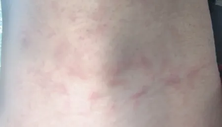 ماشین اصلاح موی صورت میجیا مدل S101